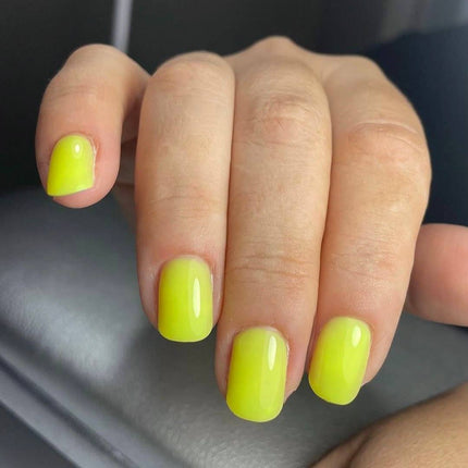 Saga Tropical Base №6 Pear 9ml